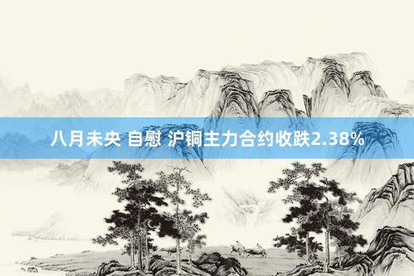 八月未央 自慰 沪铜主力合约收跌2.38%