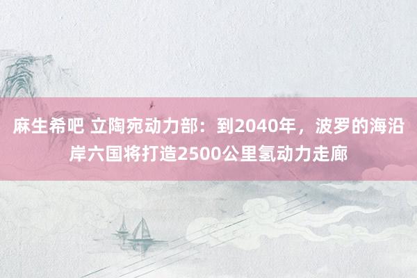 麻生希吧 立陶宛动力部：到2040年，波罗的海沿岸六国将打造2500公里氢动力走廊