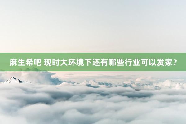 麻生希吧 现时大环境下还有哪些行业可以发家？