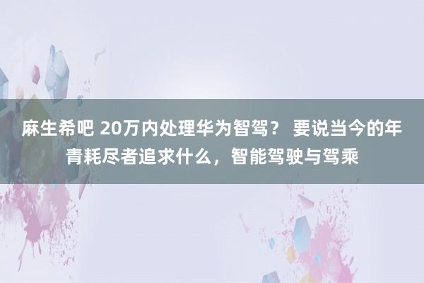 麻生希吧 20万内处理华为智驾？ 要说当今的年青耗尽者追求什么，智能驾驶与驾乘