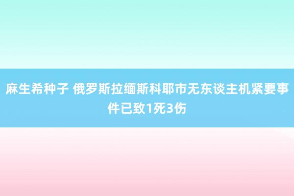 麻生希种子 俄罗斯拉缅斯科耶市无东谈主机紧要事件已致1死3伤