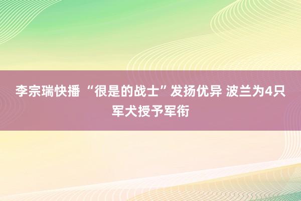 李宗瑞快播 “很是的战士”发扬优异 波兰为4只军犬授予军衔