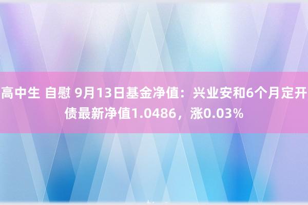 高中生 自慰 9月13日基金净值：兴业安和6个月定开债最新净值1.0486，涨0.03%