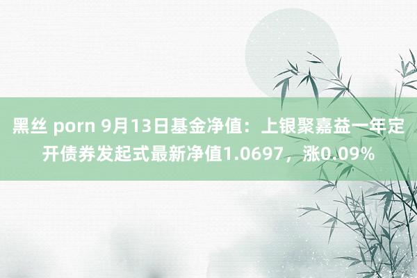 黑丝 porn 9月13日基金净值：上银聚嘉益一年定开债券发起式最新净值1.0697，涨0.09%