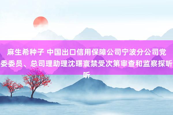 麻生希种子 中国出口信用保障公司宁波分公司党委委员、总司理助理沈曙寰禁受次第审查和监察探听