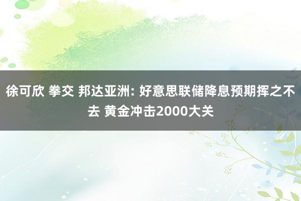 徐可欣 拳交 邦达亚洲: 好意思联储降息预期挥之不去 黄金冲击2000大关