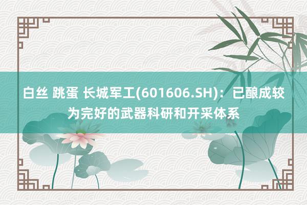 白丝 跳蛋 长城军工(601606.SH)：已酿成较为完好的武器科研和开采体系