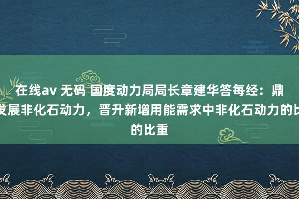 在线av 无码 国度动力局局长章建华答每经：鼎力发展非化石动力，晋升新增用能需求中非化石动力的比重