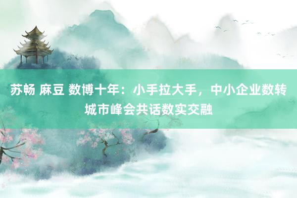 苏畅 麻豆 数博十年：小手拉大手，中小企业数转城市峰会共话数实交融