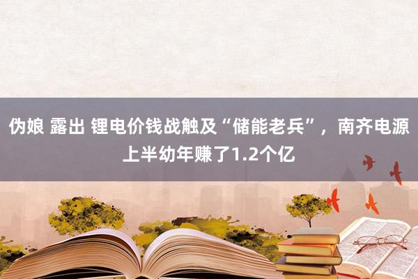 伪娘 露出 锂电价钱战触及“储能老兵”，南齐电源上半幼年赚了1.2个亿