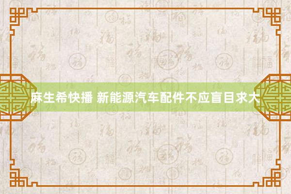 麻生希快播 新能源汽车配件不应盲目求大