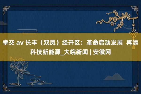 拳交 av 长丰（双凤）经开区：革命启动发展  再添科技新能源_大皖新闻 | 安徽网