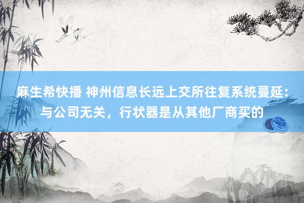 麻生希快播 神州信息长远上交所往复系统蔓延：与公司无关，行状器是从其他厂商买的