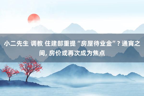 小二先生 调教 住建部重提“房屋待业金”? 通宵之间， 房价或再次成为焦点