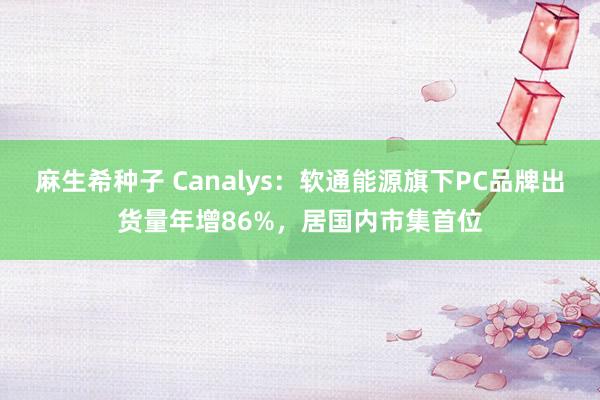 麻生希种子 Canalys：软通能源旗下PC品牌出货量年增86%，居国内市集首位