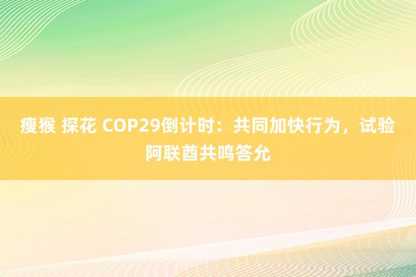 瘦猴 探花 COP29倒计时：共同加快行为，试验阿联酋共鸣答允