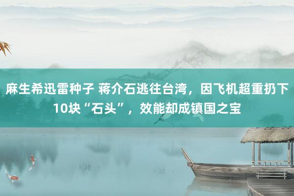 麻生希迅雷种子 蒋介石逃往台湾，因飞机超重扔下10块“石头”，效能却成镇国之宝