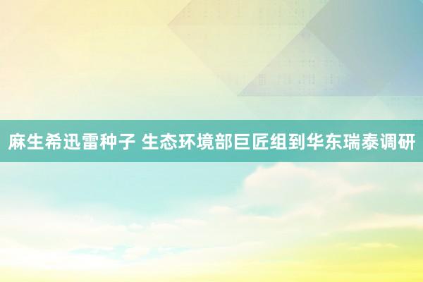 麻生希迅雷种子 生态环境部巨匠组到华东瑞泰调研