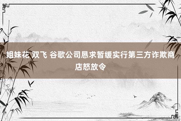 姐妹花 双飞 谷歌公司恳求暂缓实行第三方诈欺商店怒放令