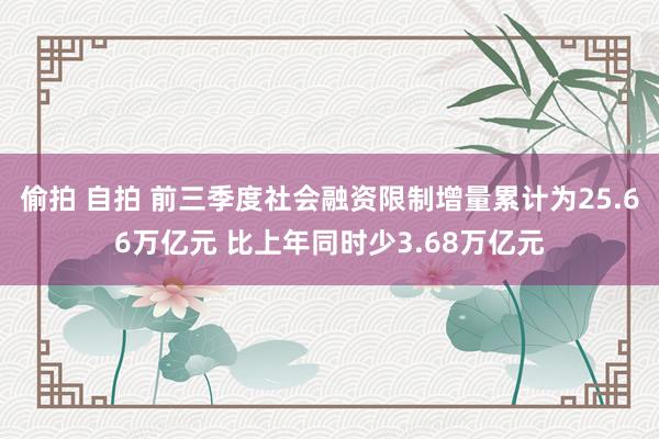 偷拍 自拍 前三季度社会融资限制增量累计为25.66万亿元 比上年同时少3.68万亿元