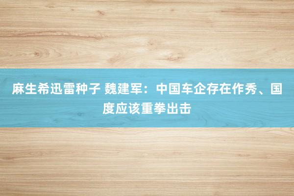 麻生希迅雷种子 魏建军：中国车企存在作秀、国度应该重拳出击