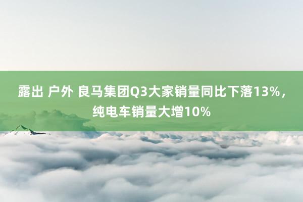 露出 户外 良马集团Q3大家销量同比下落13%，纯电车销量大增10%