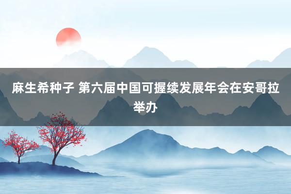 麻生希种子 第六届中国可握续发展年会在安哥拉举办