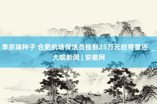 李宗瑞种子 合肥机场保洁员捡到25万元拾带重还  _大皖新闻 | 安徽网