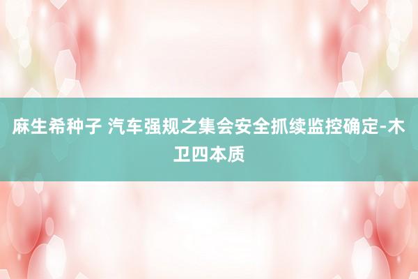 麻生希种子 汽车强规之集会安全抓续监控确定-木卫四本质