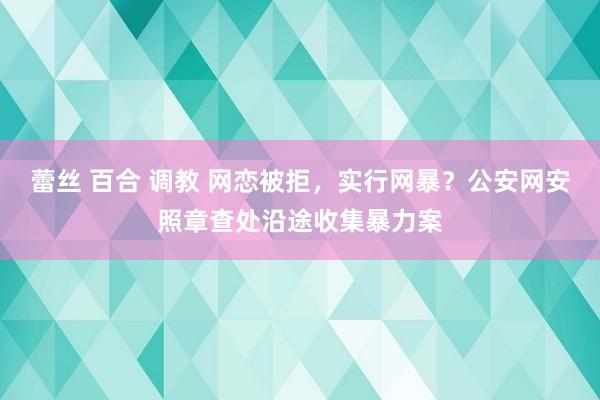 蕾丝 百合 调教 网恋被拒，实行网暴？公安网安照章查处沿途收集暴力案