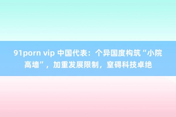 91porn vip 中国代表：个异国度构筑“小院高墙”，加重发展限制，窒碍科技卓绝