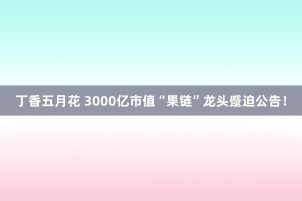 丁香五月花 3000亿市值“果链”龙头蹙迫公告！