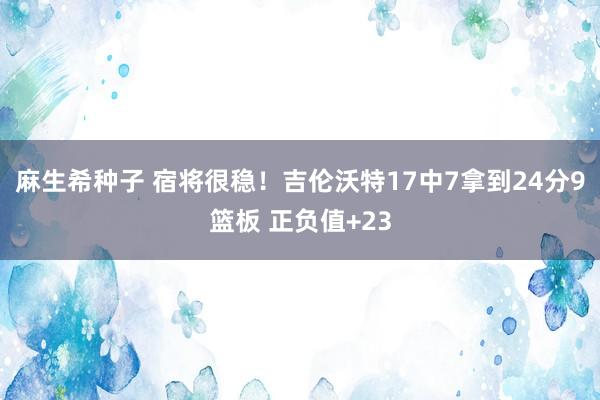 麻生希种子 宿将很稳！吉伦沃特17中7拿到24分9篮板 正负值+23