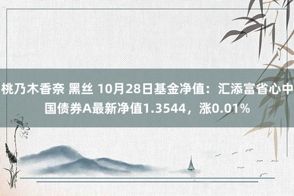 桃乃木香奈 黑丝 10月28日基金净值：汇添富省心中国债券A最新净值1.3544，涨0.01%