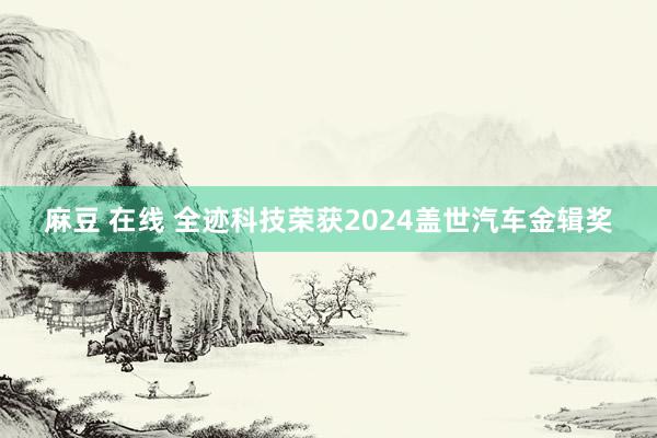 麻豆 在线 全迹科技荣获2024盖世汽车金辑奖