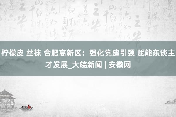 柠檬皮 丝袜 合肥高新区：强化党建引颈 赋能东谈主才发展_大皖新闻 | 安徽网