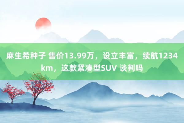 麻生希种子 售价13.99万，设立丰富，续航1234km，这款紧凑型SUV 谈判吗