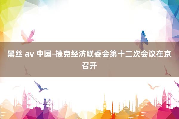 黑丝 av 中国-捷克经济联委会第十二次会议在京召开