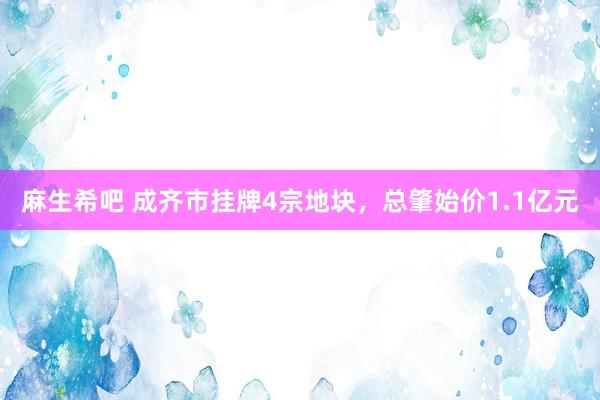 麻生希吧 成齐市挂牌4宗地块，总肇始价1.1亿元