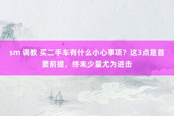 sm 调教 买二手车有什么小心事项？这3点是首要前提，终末少量尤为进击