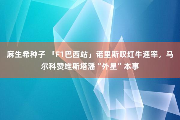 麻生希种子 「F1巴西站」诺里斯叹红牛速率，马尔科赞维斯塔潘“外星”本事