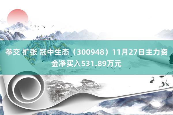 拳交 扩张 冠中生态（300948）11月27日主力资金净买入531.89万元