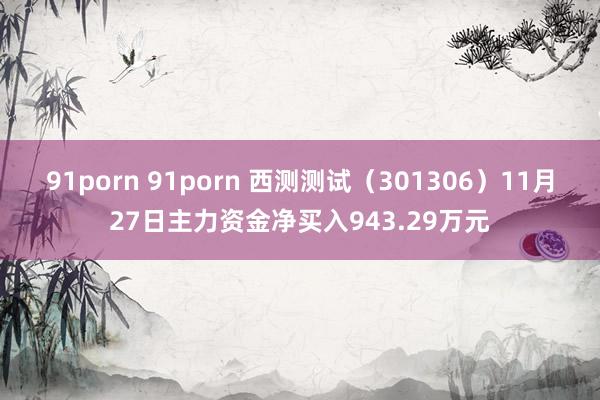 91porn 91porn 西测测试（301306）11月27日主力资金净买入943.29万元