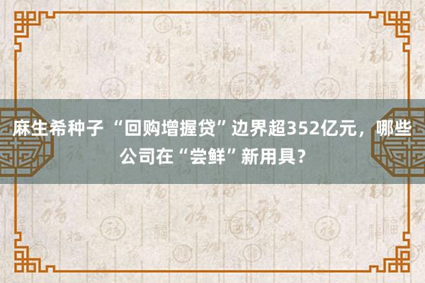 麻生希种子 “回购增握贷”边界超352亿元，哪些公司在“尝鲜”新用具？