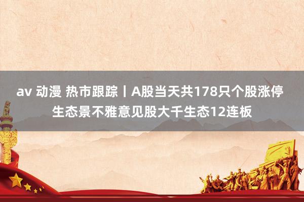 av 动漫 热市跟踪丨A股当天共178只个股涨停 生态景不雅意见股大千生态12连板