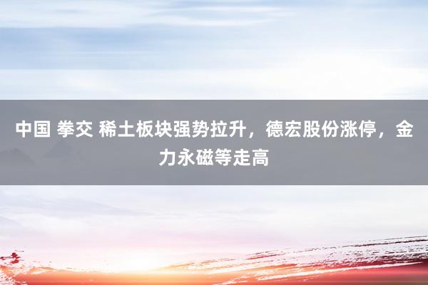 中国 拳交 稀土板块强势拉升，德宏股份涨停，金力永磁等走高