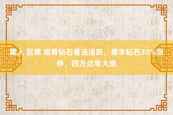 黑人 巨屌 培育钻石看法活跃，惠丰钻石30%涨停，四方达等大涨