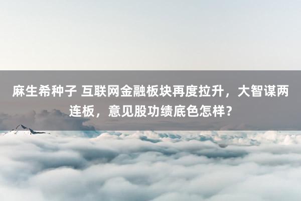 麻生希种子 互联网金融板块再度拉升，大智谋两连板，意见股功绩底色怎样？