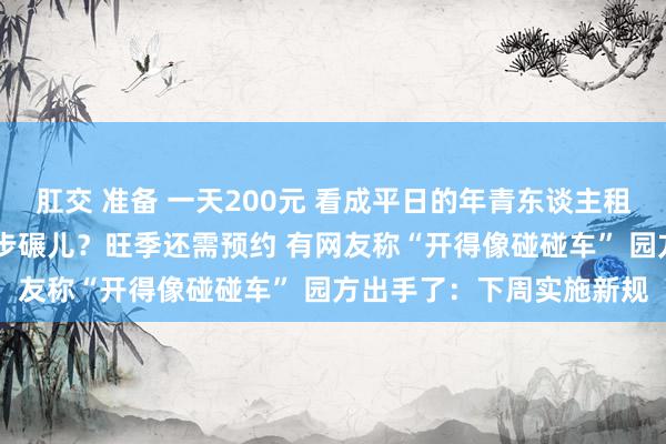 肛交 准备 一天200元 看成平日的年青东谈主租轮椅逛迪士尼 只因懒得步碾儿？旺季还需预约 有网友称“开得像碰碰车” 园方出手了：下周实施新规