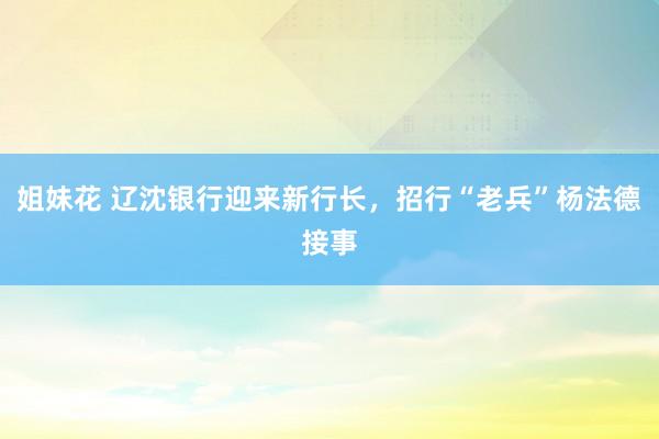 姐妹花 辽沈银行迎来新行长，招行“老兵”杨法德接事